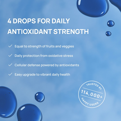 Meraki Blu USP Grade Methylene Blue Solution – Third-Party Tested 1% Liquid Formula, High Purity Blue Formula, 30ml Glass Dropper Bottle